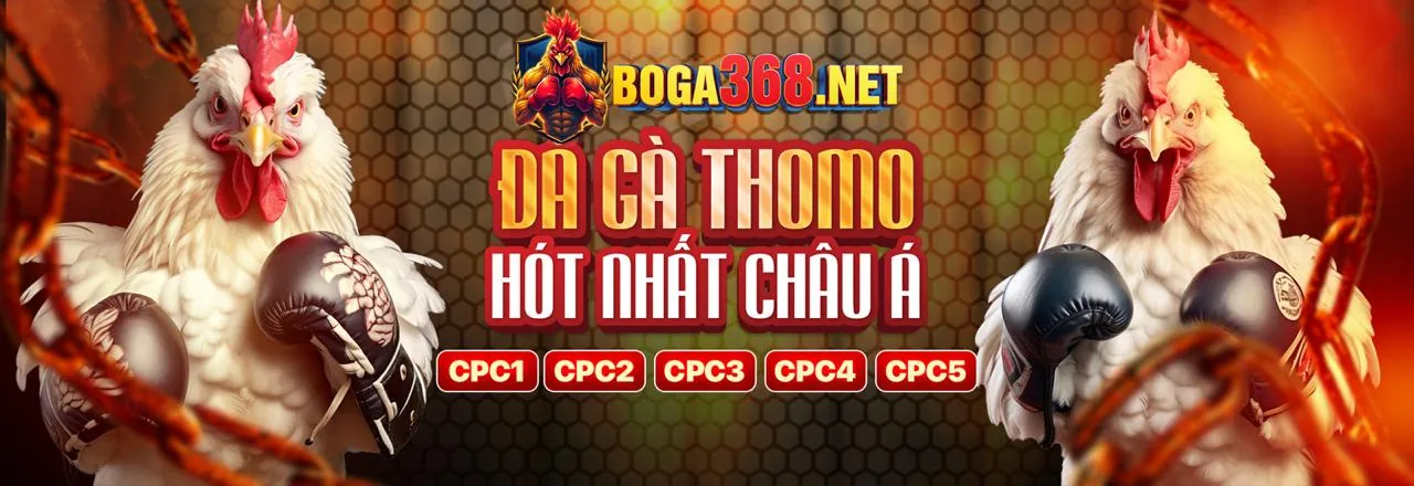 Đá Gà Trực Tuyến Kubet777 Chính Thức 2026