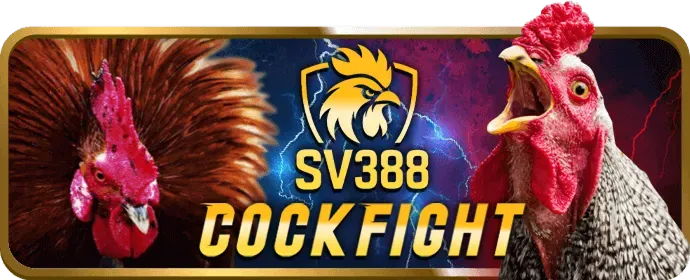 Các chương trình khuyến mãi và ưu đãi của Kubet777 Chính Thức